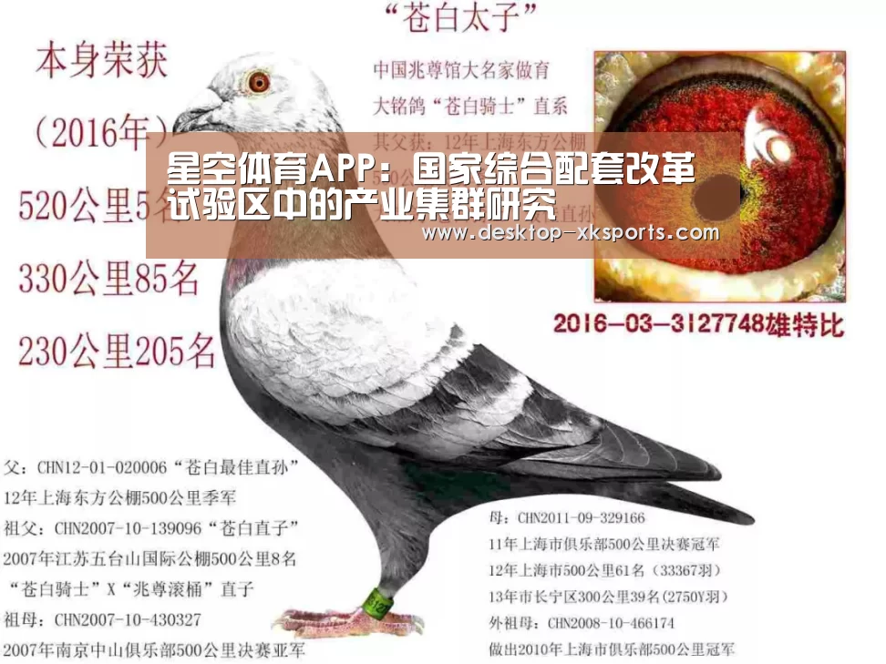 星空体育APP