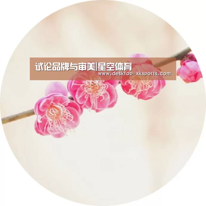 试论品牌与审美|星空体育(图1)