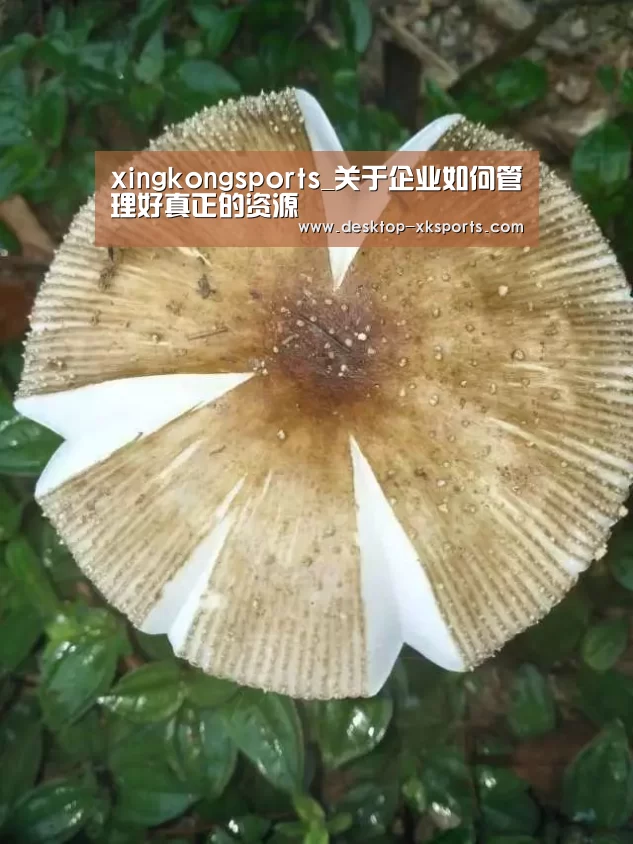 app下载