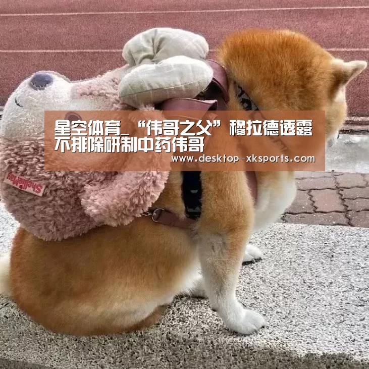 星空体育