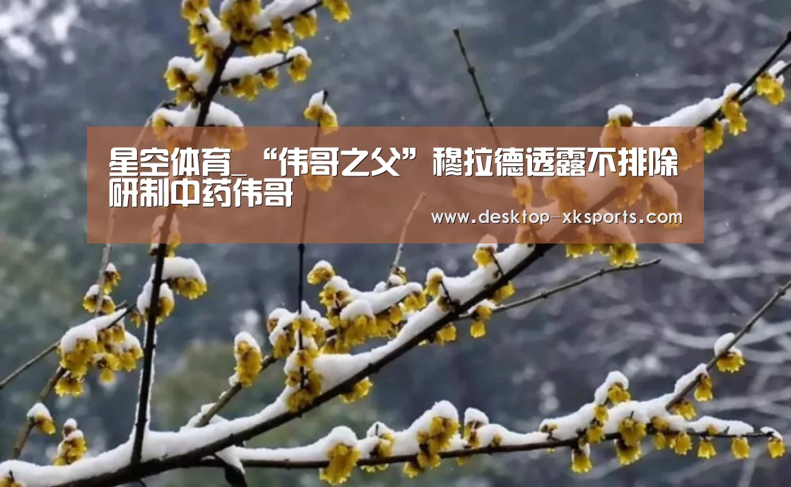 app下载