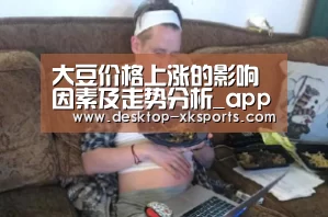 app下载