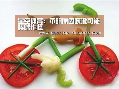 星空体育APP